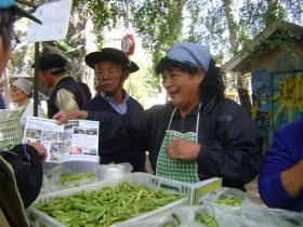 Feria Franca: Los logros del trabajo conjunto