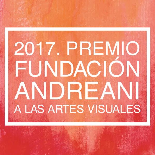 &Uacute;ltimos d&iacute;as para postularse al Premio Fundaci&oacute;n Andreani 2017 a las Artes Visuales
