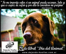 DIA DEL ANIMAL