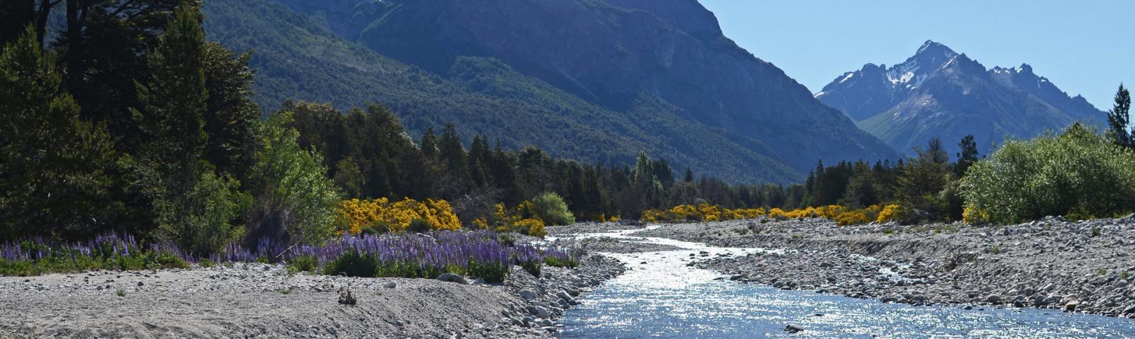 Colonia Suiza - Paseos - Bariloche