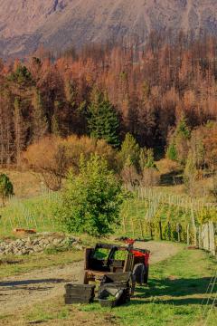 Tour de vinos - Patagonia Argentina