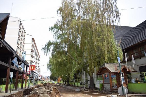 Comisi&oacute;n de arbolado interviene en dise&ntilde;o de la nueva calle Mitre