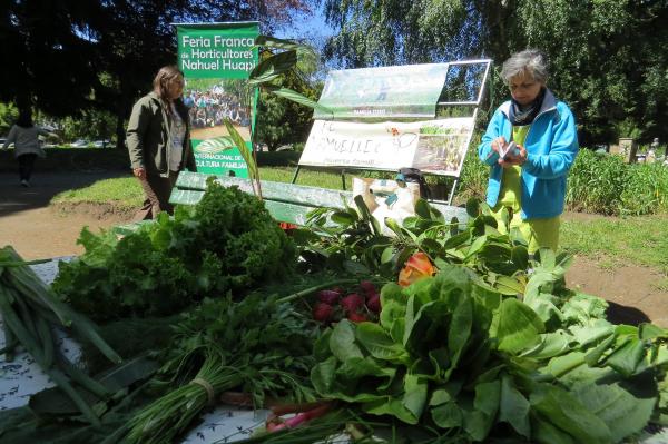 Vuelve este s&aacute;bado la Feria Franca de Horticultores