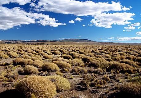 Concentraci&oacute;n y degradaci&oacute;n: &iquest;Qu&eacute; pasa con las tierras en R&iacute;o Negro?