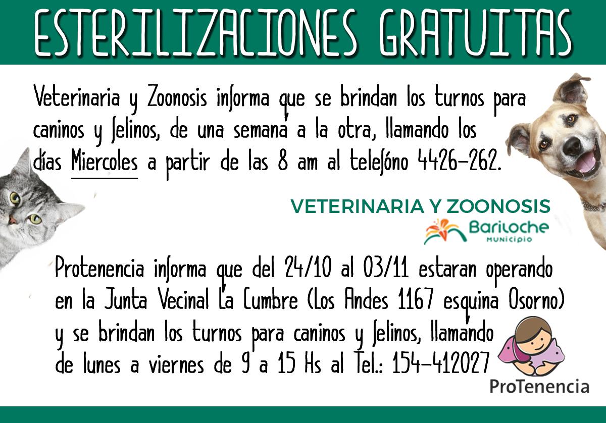 Recuerdan cronograma de la campa&ntilde;a de esterilizaci&oacute;n hasta el 3 de noviembre