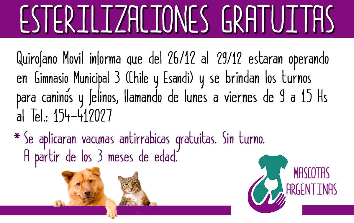  Esterilizaciones gratuitas en el Gimnasio Municipal N&deg; 3