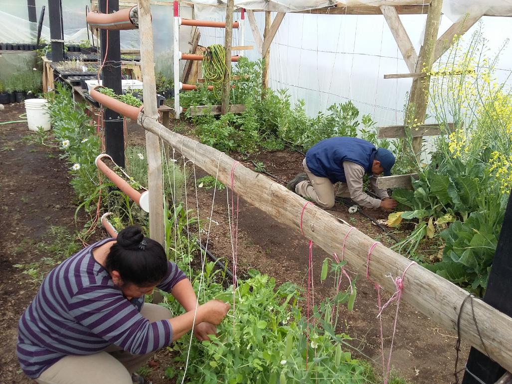 Cooperativas de Argentina Trabaja se capacitan en el Vivero Municipal