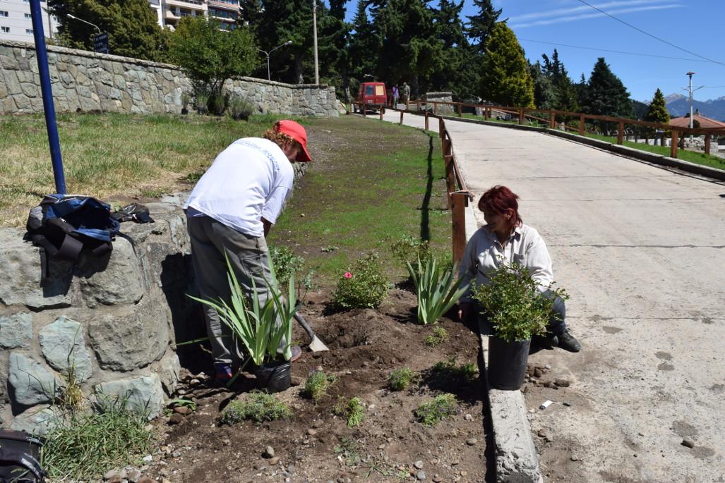 Parques y Jardines embellece el Paseo del Lago