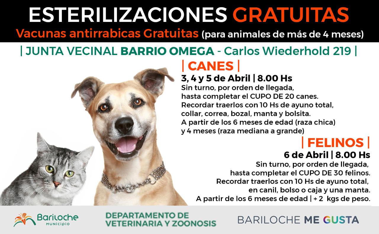 Cronograma de esterilizaci&oacute;n gratuita para la semana pr&oacute;xima