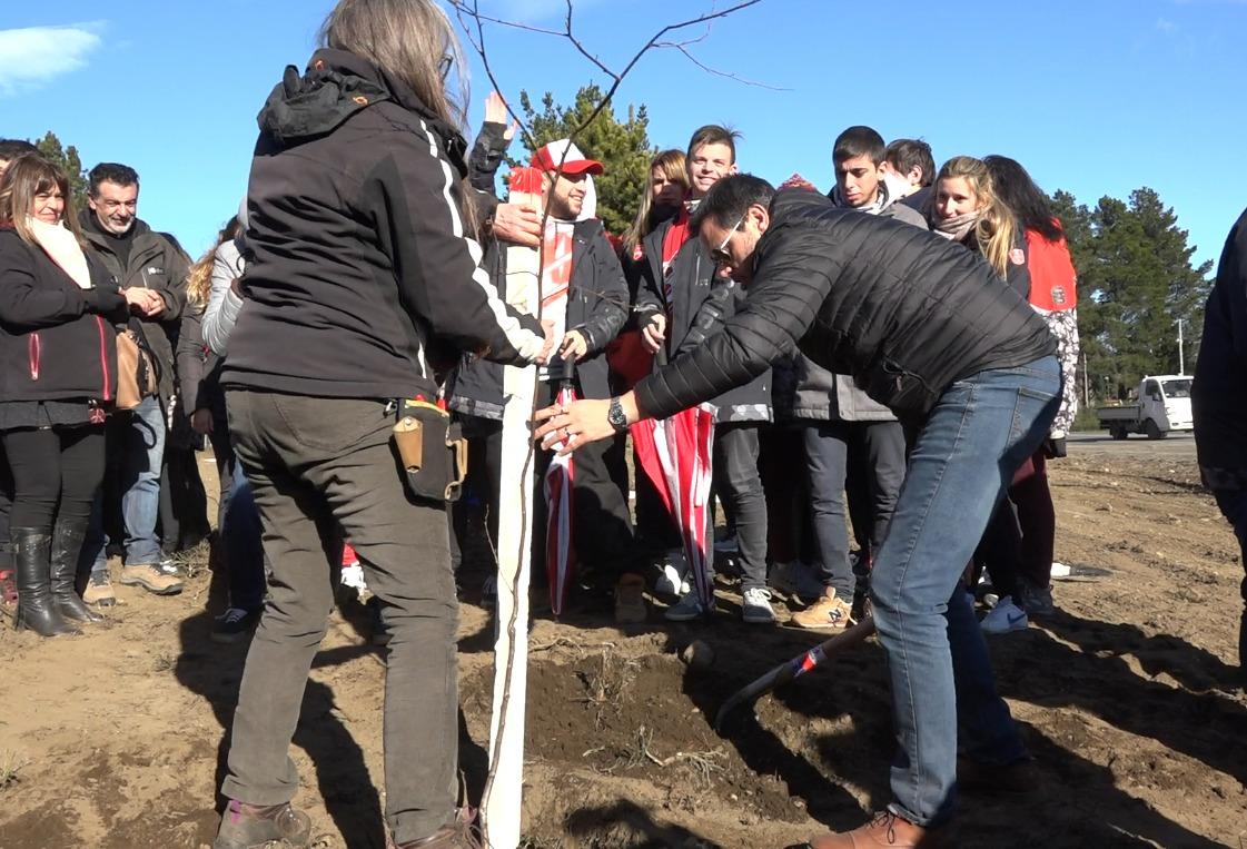 El Paseo del Este incorporar&aacute; m&aacute;s de un centenar de plantas aut&oacute;ctonas