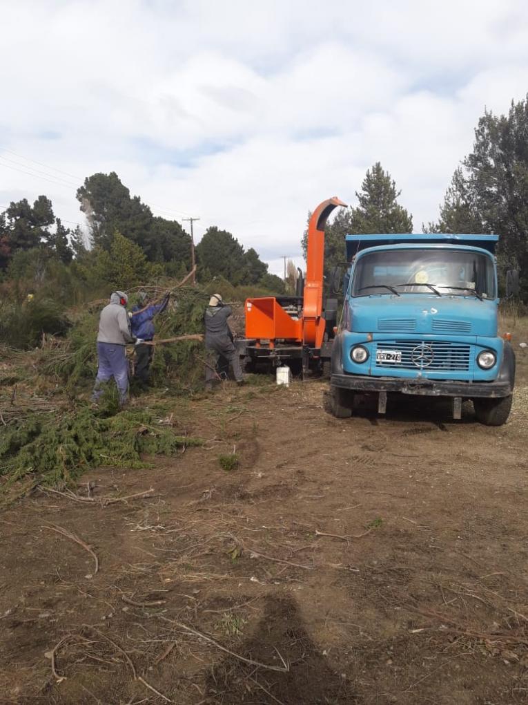 Trabajos de las Delegaciones Municipales en los barrios