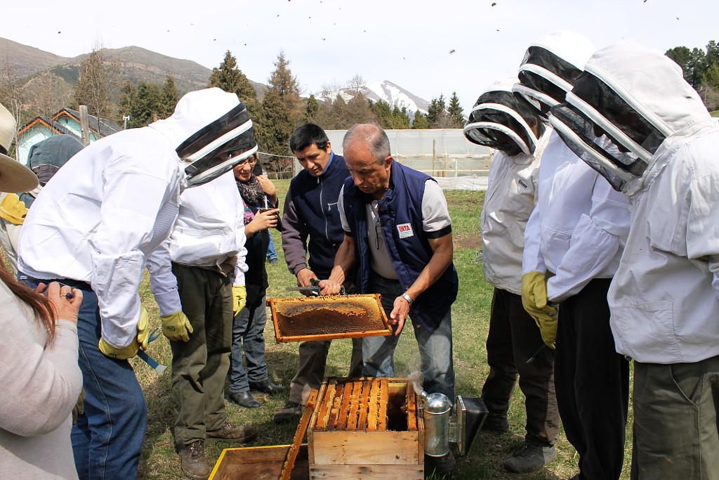 Se lanza la temporada de talleres de Apicultura y de Agricultura