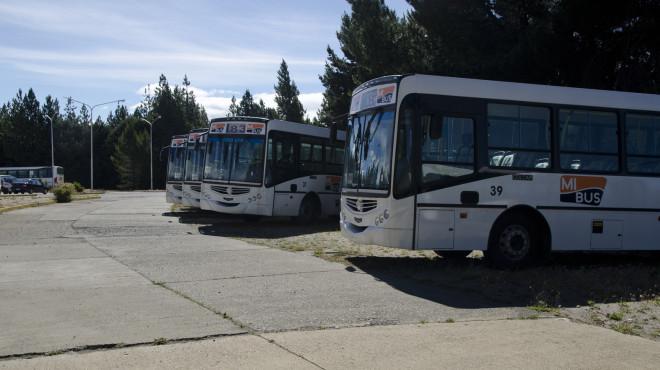 Estado del servicio de Transporte Urbano de Pasajeros