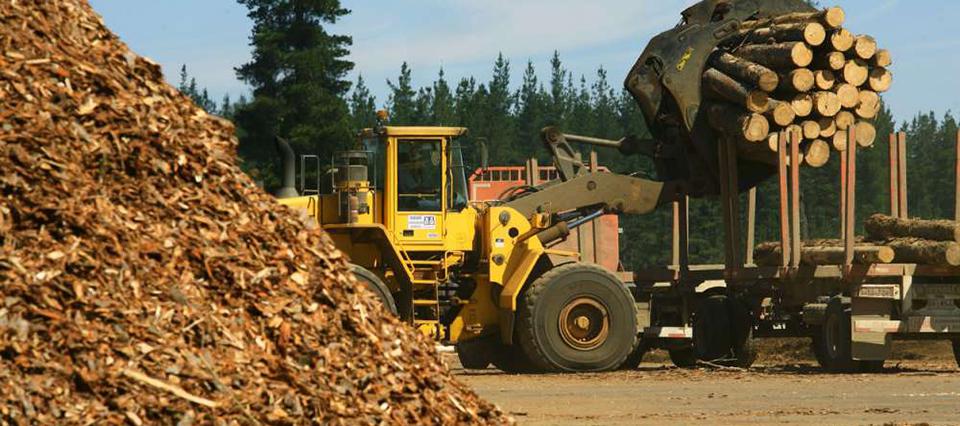 Propuesta para los residuos forestales por el OCBD