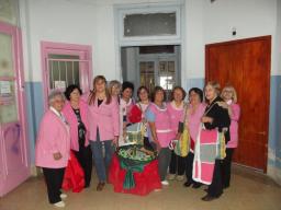 Las Damas de Rosa convocan a participar del primer Tejet&oacute;n solidario en Bariloche