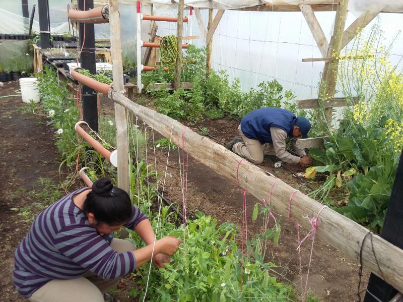 Cooperativas de Argentina Trabaja se capacitan en el Vivero Municipal