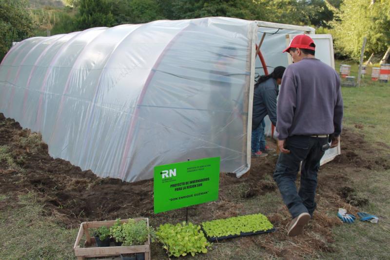 Se suma un invernadero con esquema tecnol&oacute;gico al Vivero Municipal