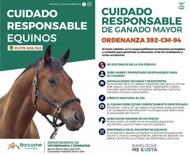 Convocan a realizar patentamiento de caballos