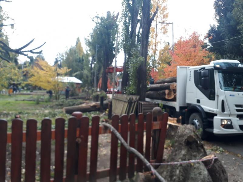 Trabajos de Parques y Jardines en Colonia Suiza y en el este de la ciudad