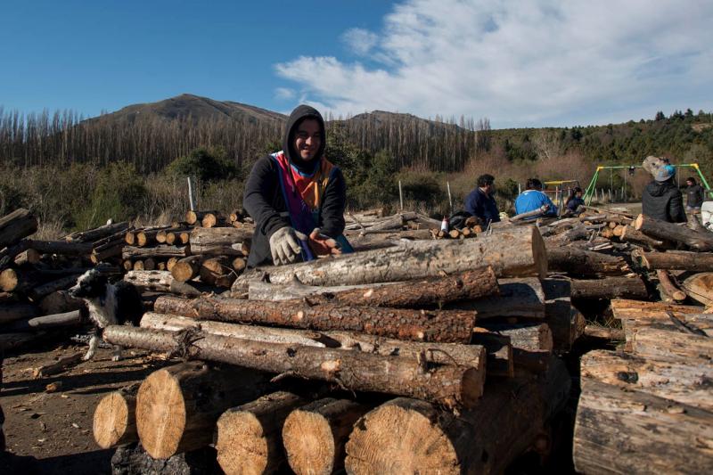 C&oacute;mo sigue la entrega de le&ntilde;a del Plan Calor la pr&oacute;xima semana