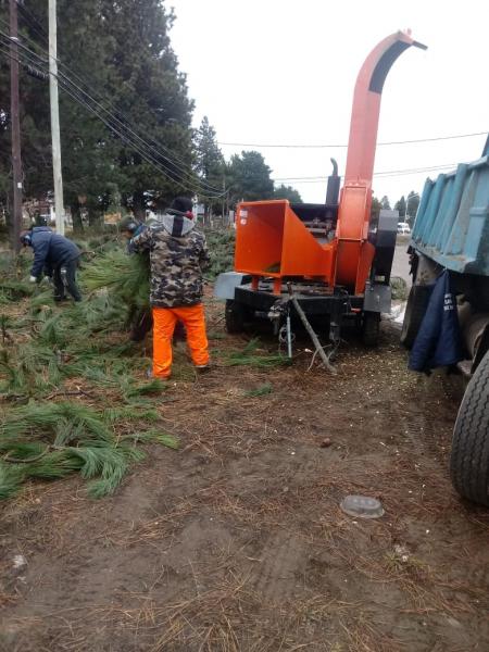 Trabajos de las delegaciones municipales