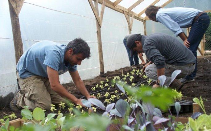 Comenzaron los cursos del programa de Agricultura Urbana y Periurbana de la Municipalidad