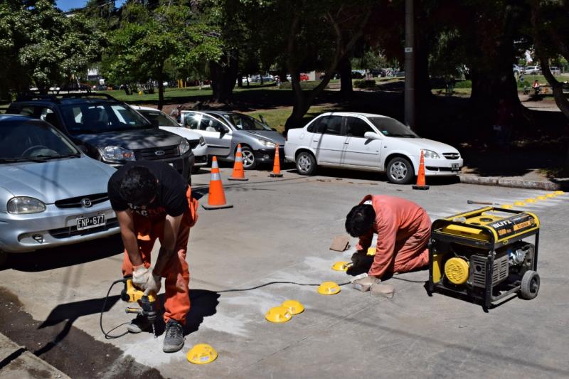 Colocan reductores de velocidad sobre calle 20 de Febrero