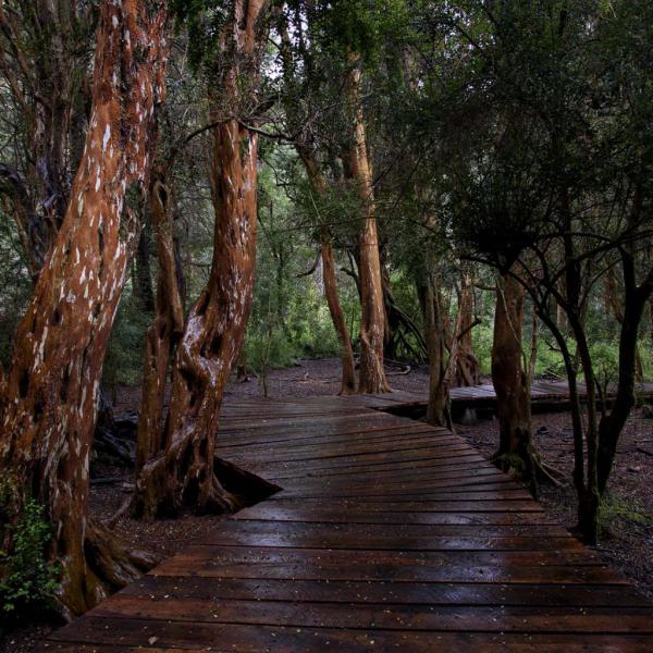 ENTE AUTÁRQUICO ADMINISTRADOR Y CIENTÍFICO-TÉCNICO DEL PARQUE MUNICIPAL LLAO LLAO COMUNICADO 03-25