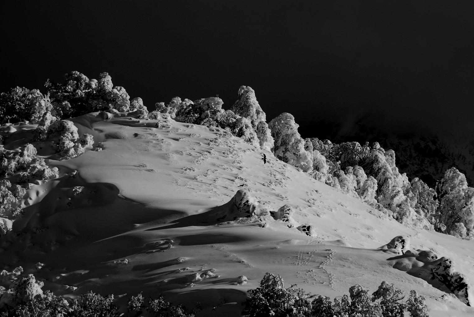 Lleg&oacute; el Invierno en Bariloche 