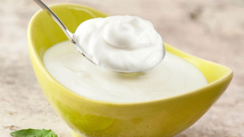 YOGUR DE K&Eacute;FIR: propiedades y diferencias con el yogur de siempre - Receta