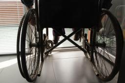 D&iacute;a Internacional de las Personas con Discapacidad  