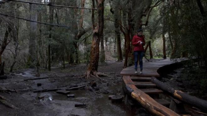 Villa Tacul: los senderos m&aacute;s lindos sin excursiones