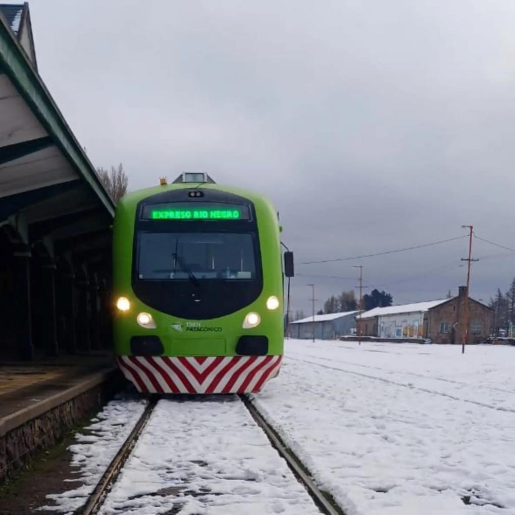 Tren Patag&oacute;nico tur&iacute;stico de Bariloche a Perito Moreno: el famoso viaje por la estepa, ahora puede hacerse de d&iacute;a