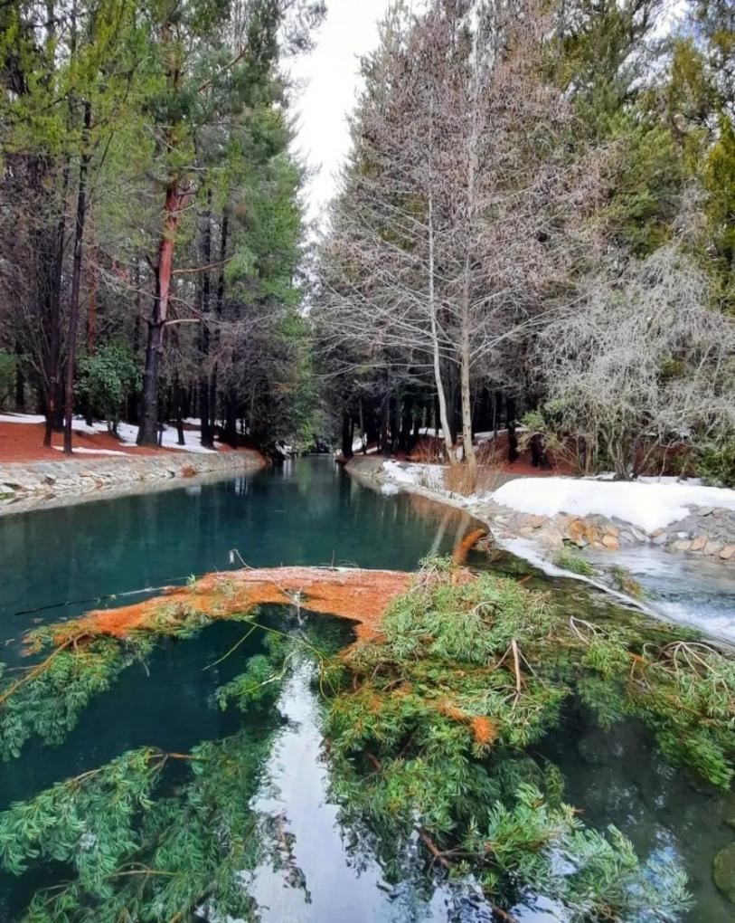 Cuatro caminatas de montaña para recorrer en familia en Bariloche