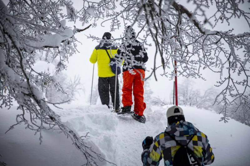 Con tarifas congeladas, abre el cerro Otto y su emblemático teleférico