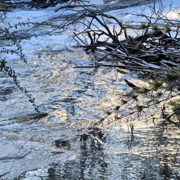 Temporada Invierno: cómo prepararse para salir a caminar por los senderos de montaña