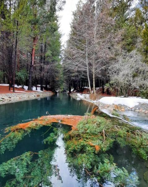 Cuatro caminatas de montaña para recorrer en familia en Bariloche