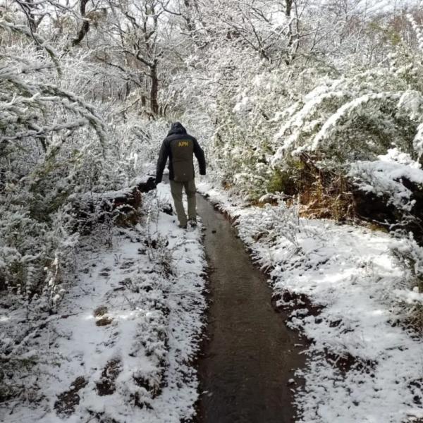 Reabren el acceso al Circuito Tronador solo para vehículos altos