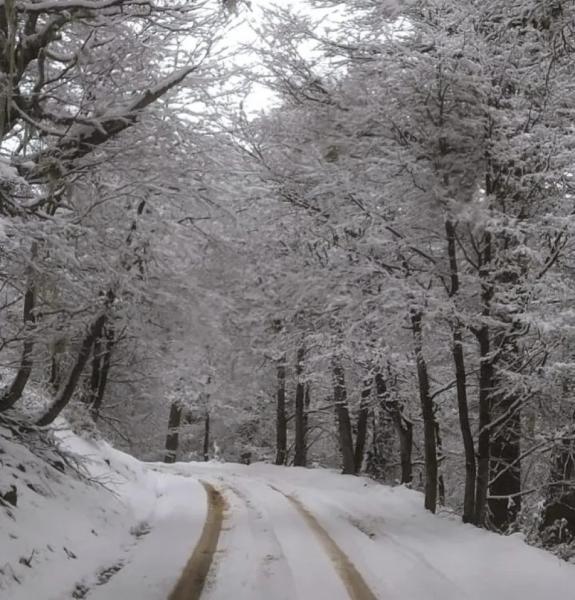 Cuál es el estado de los caminos en el Parque Nacional Nahuel Huapi