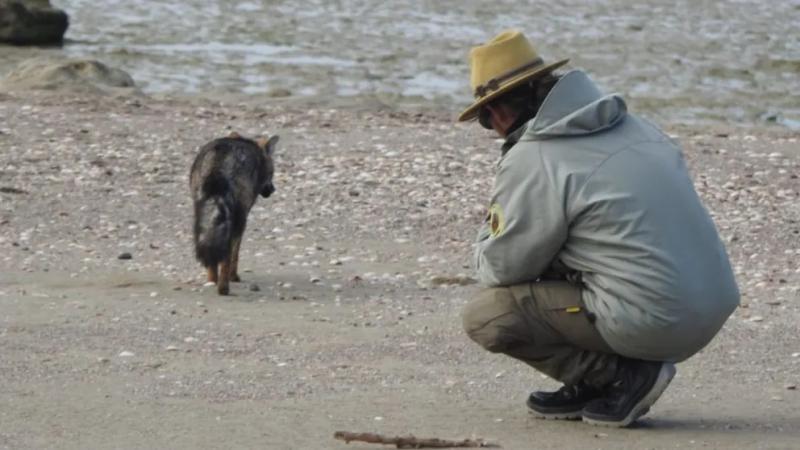 La importancia de visitar Áreas Naturales Protegidas sin alterar la naturaleza