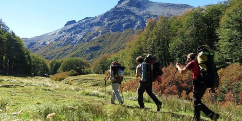 Cómo prevenir el hantavirus en Bariloche, El Bolsón y la región