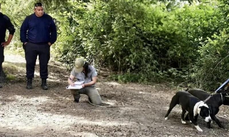 Cuál es la multa por ingresar perros al Parque Nacional Nahuel Huapi