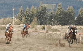 Turf - Programa de carreras para este domingo