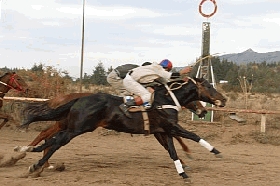 CUMPLIMOS 39 ANIVERSARIOS - El hip&oacute;dromo se viste de fiesta el domingo