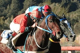 El hip&oacute;dromo tiene una gran fiesta el domingo