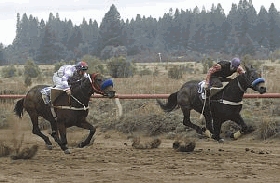 El hip&oacute;dromo vuelve al ruedo con un buen programa