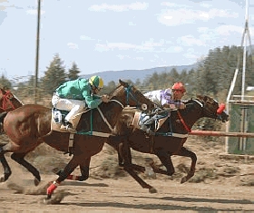 El domingo habr&aacute; fiesta en el hip&oacute;dromo