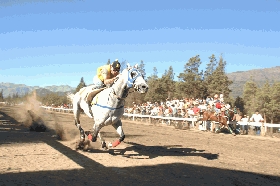 Festival de carreras bien regional