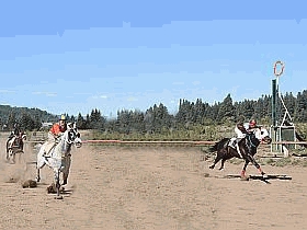 EL deporte de los reyes, abre el a&ntilde;o en el Hip&oacute;dromo