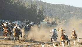 En el Hip&oacute;dromo, habr&aacute; actividad el pr&oacute;ximo domingo